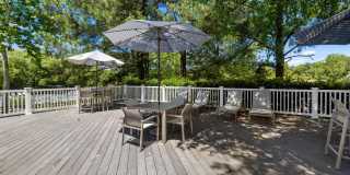 Legacy at Mayland Gallery 41