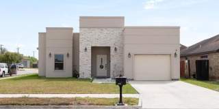 7029 AUSTRIAN PINE Gallery 1