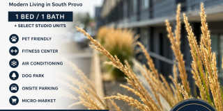 B/1B Pet Friendly Apartment South of BYU Gallery 9