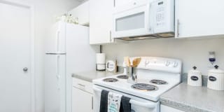 Bradford Park Gallery 51