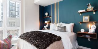 Axis Oakland Gallery 26