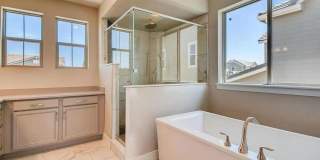 4 bedroom luxury home in Anthem 4 bedroom luxury home in Anthem Gallery 13