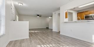 37554 DALIHA Terrace Gallery 14