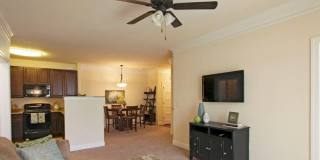 Briton Trace Apartments Gallery 48