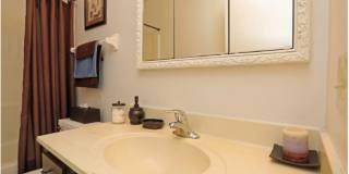 The Meadows Apartments Gallery 7