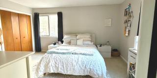 19 Wadhams Avenue Gallery 5