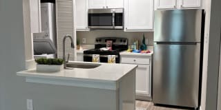 Palms of Clearwater Gallery 66