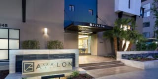 Avalon Studio City Gallery 33