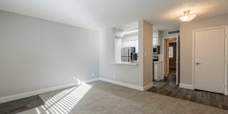 Parq on 50th Gallery 6