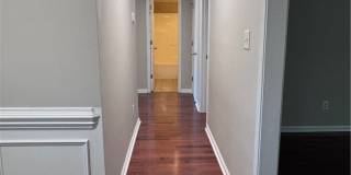 103 Scaley Bark Drive Gallery 7