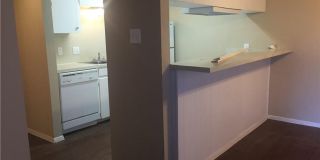 Redwood North — Your Midtown Hideout Near(ish) UT Gallery 1