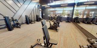 Trailwinds Gallery 13