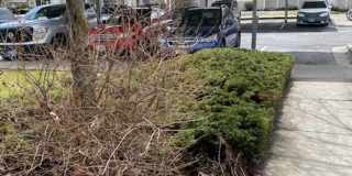 2 Bed 1.5 Bath Townhouse in Missoula Gallery 3