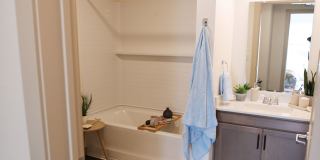 Libertad Austin Gallery 10