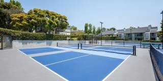 Harbor Pointe Apartments Gallery 40