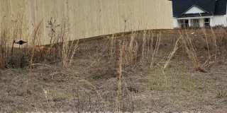 174 Sandy Hills Ct Gallery 5