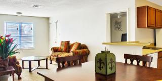 Laguna Creek Gallery 8