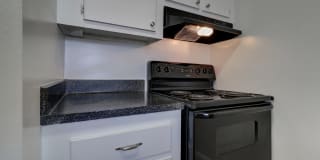 Royal Breeze Gallery 53