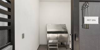 The Stately Queen Creek Gallery 58