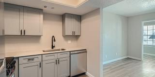 Rise Spring Pointe Gallery 24