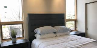 200 Evans Road unit: 102 Gallery 12