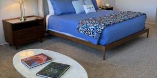 41520 N RIVER BEND Court Gallery 19