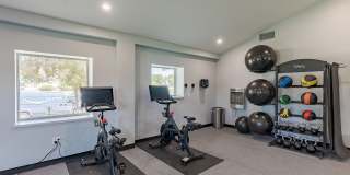 ReNew at the Greens Gallery 21