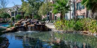 Park at Armand Bayou Gallery 20
