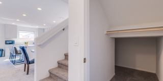 5215 Lissome Lily Court Gallery 20