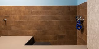 Hyde Square Gallery 51