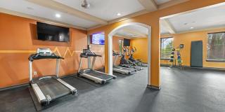 Allura Las Colinas Gallery 16