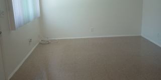 BSM Management Gallery 10