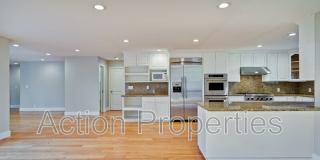 261 Langton Avenue Gallery 17