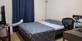 10307 Colony View Dr Gallery 7