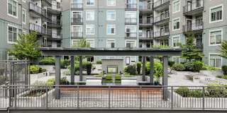 Elan Redmond Gallery 23