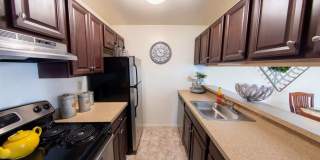 Forest Creek Gallery 2