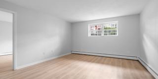4 Robinwood Avenue Gallery 18
