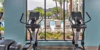 2Bayshore Gallery 46