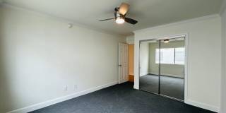 vet182 Gallery 11