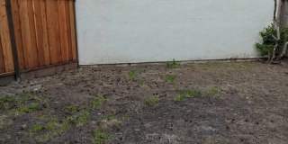 34065 Gannon Terrace Gallery 27