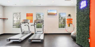The Brentwood Gallery 22