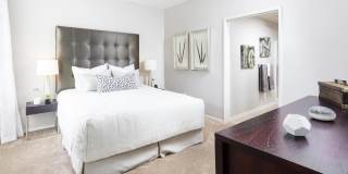 La Jolla Crossroads Gallery 24