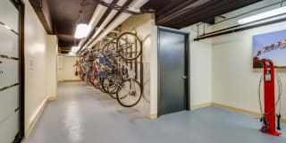 Belvedere Gallery 25