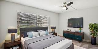 Silver Palms Gallery 6