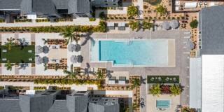 Palm Grove Gallery 20