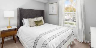 Albany Landings Gallery 17