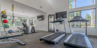 Shoreline Apartments Shoreline Apartments Gallery 7