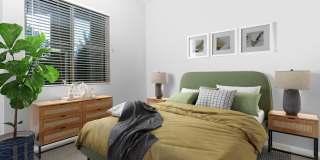 Paragon at Old Town Gallery 40