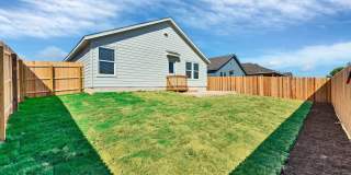 332 Elephants Ear Gallery 22