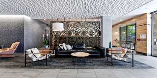 Hollis Gallery 21